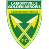 Golden Arrows
