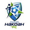 Hakoah Sydney City