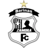 Zamora fc