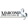 Marconi stallions